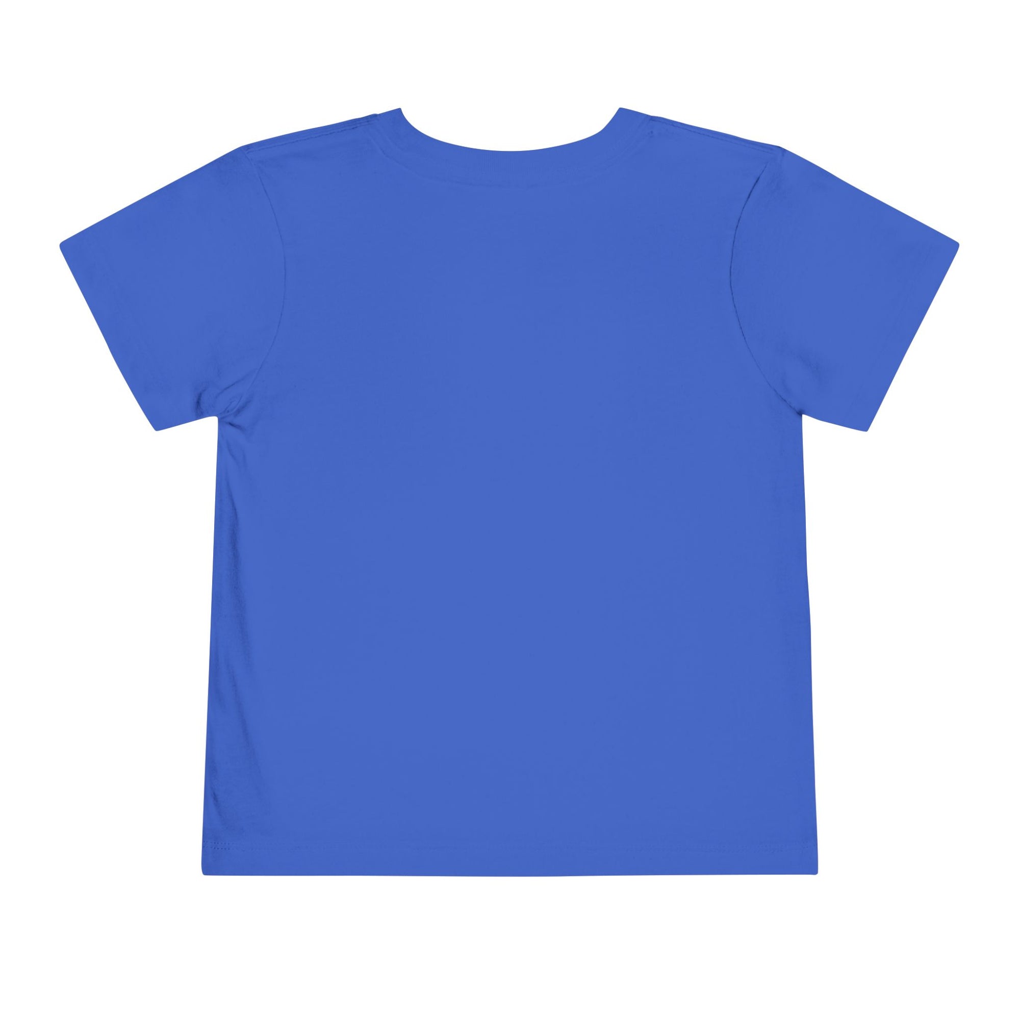 Gaddies Varsity Flamingo Tee (Toddler Edition)