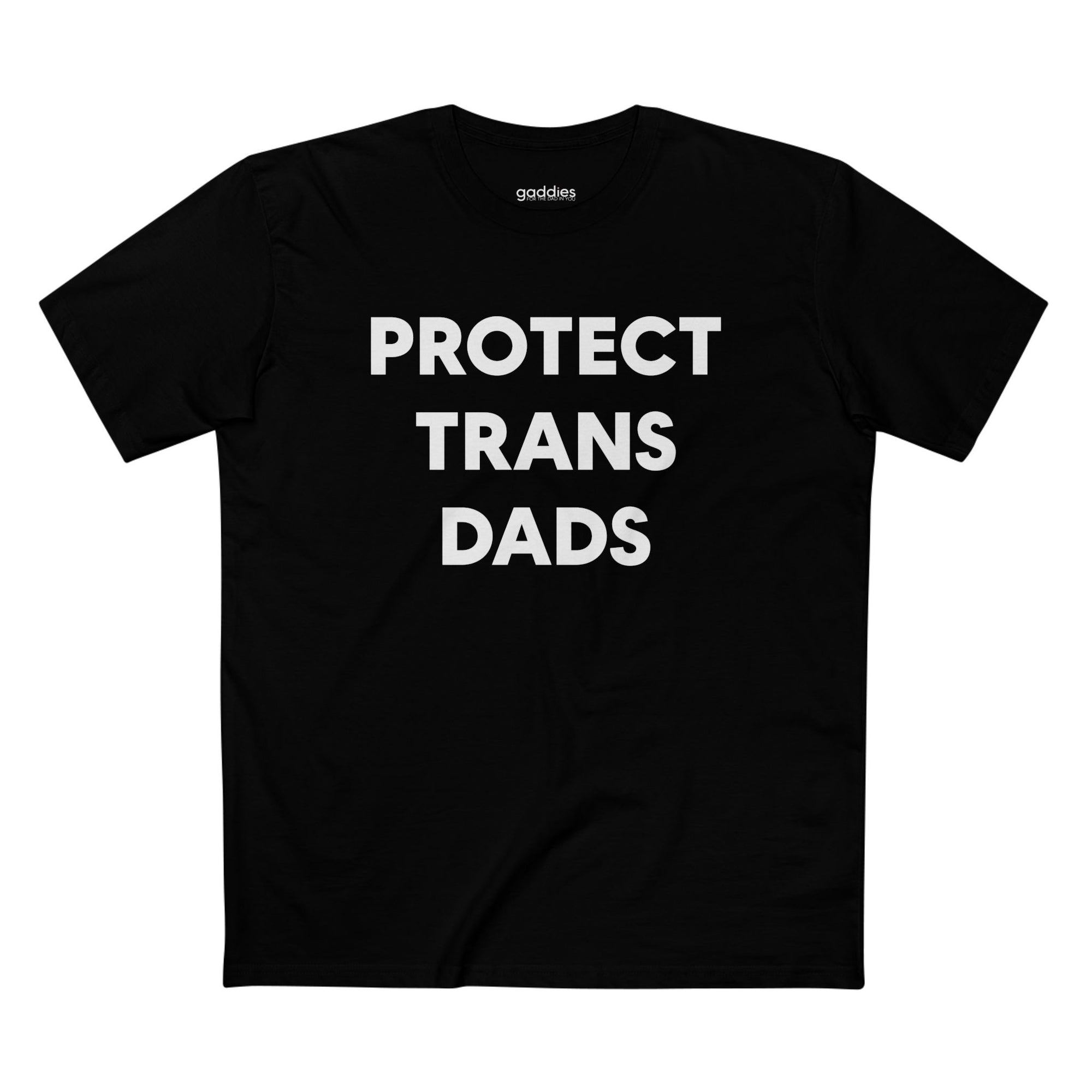 Protect Trans Dads Tee