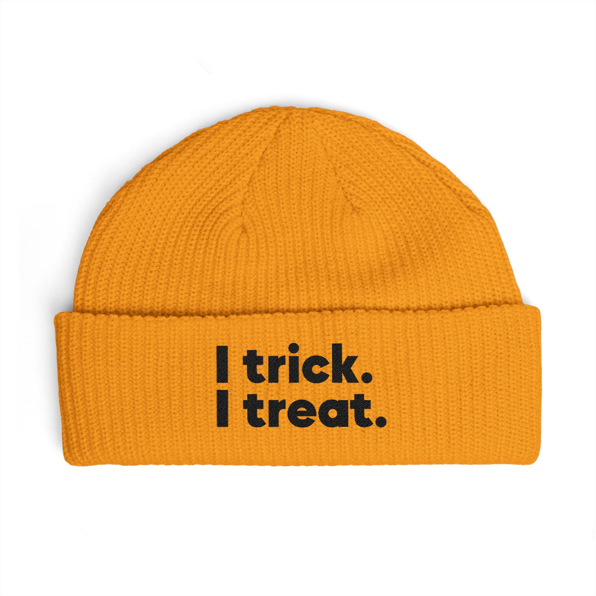 GaysWithKids Beanie