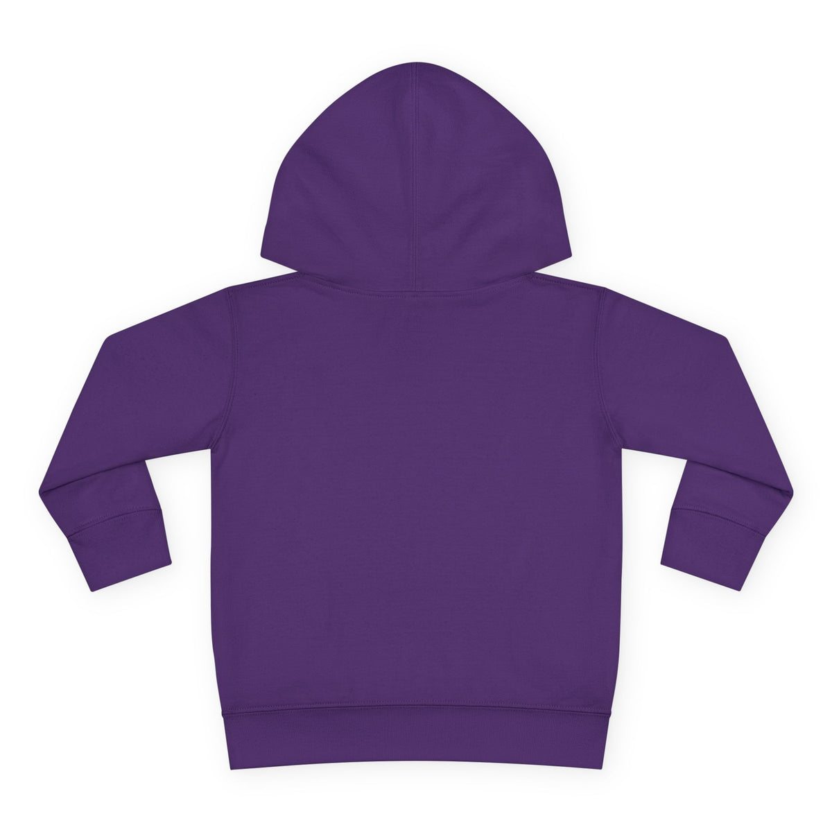 Shapes Toddler Hoodie